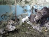 Вахтанский историко-природный музей