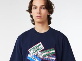 Мужская футболка Lacoste для спорта