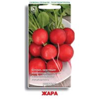 Редис Жара
