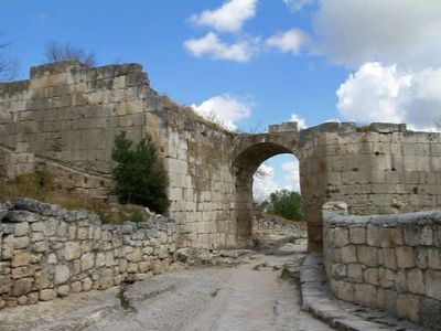 Стены крепости с воротами и башней