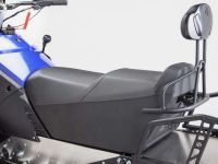 Снегоход STELS Капитан S150 Carbon