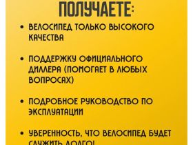 Горный велосипед Stinger Python Pro 29 M, год 2024, цвет Коричневый, ростовка 20