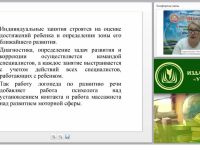 Создание инклюзивной развивающей среды в ДОО