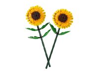 Botanicals 40524 Сувенирный набор Подсолнухи