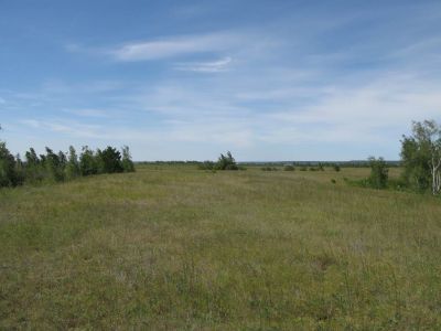 Луг Эсэ Бастаах