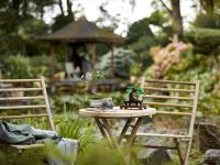 Creator 10281 Конструктор Бонсай