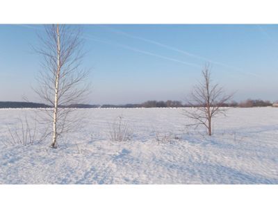 Священная роща