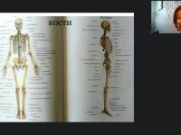 Международный вебинар «Общие правила организации движений ослабленных и парализованных пациентов»