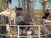 Музей «Археология, этнография и экология Сибири» Кемеровского университета