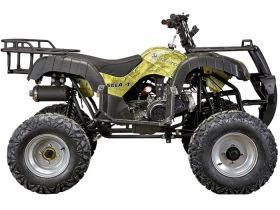 Квадроцикл YACOTA Sela 150