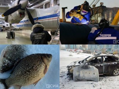 Обзор интересных и популярных новостей в Якутии за 19 ноября