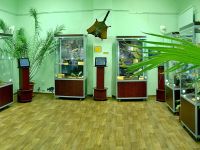 Выставочный зал Кировского городского зоологического музея на ул. Ленина
