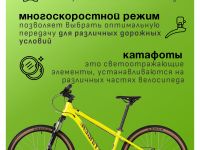 Подростковый велосипед Stinger Element 24 JR, год 2025, цвет Зеленый