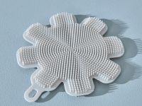 Губка Паниессу/Paniesu III