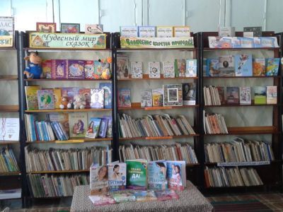 Шиньшинская сельская библиотека