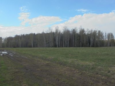 Священная роща