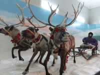 Территориальный отдел истории, культуры и быта Кольских саамов