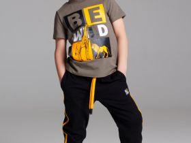 Фуфайка трикотажная для мальчиков (футболка)