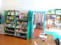 Владимировская сельская библиотека – филиал № 11