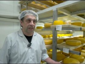 Двадцать видов молочной продукции производит цех в Ленском районе Якутии