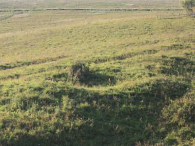 Остатки Линейной дороги, соединяющей крепость Колывано-Кузнецкой укрепленной линии