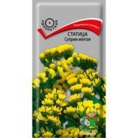 Статица Суприм жёлтая