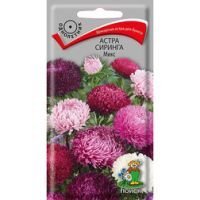 Астра Сиринга Микс
