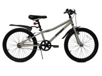 Детский велосипед Pifagor Level 20, год 2023, цвет Серый
