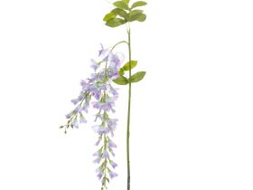 Цветок Ostra II