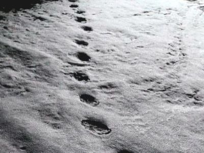 Фотофакт: в Верхнеколымском районе медведь вышел из зимней спячки раньше срока