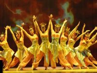 Дом культуры д. Ивакино