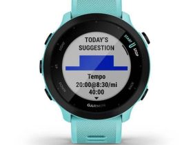 Смарт-часы Garmin Forerunner 55 42 mm (Aqua) (010-02562-12)