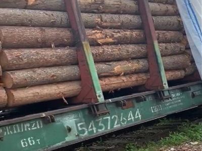 Нарушения при обороте пиломатериалов в Якутии выявили инспекторы Россельхознадзора