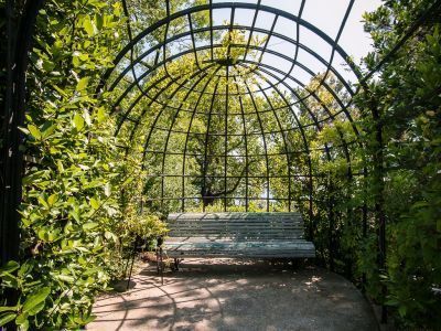 Лавровая беседка с южной стороны виллы