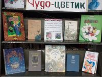 Малоозерская сельская библиотека-филиал