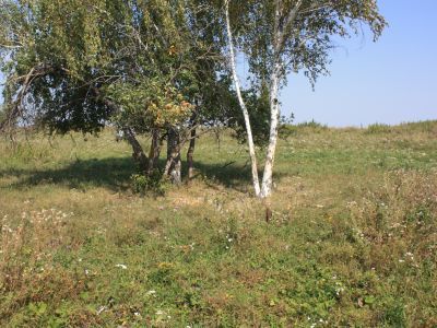 Братская могила партизан