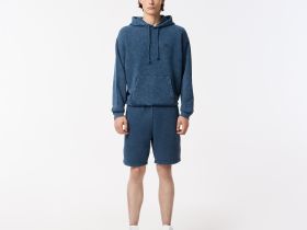 Мужские шорты Lacoste из хлопка