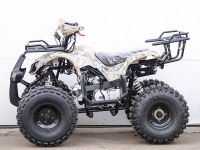 Квадроцикл STALKER 150