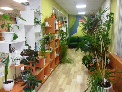 Новосельская библиотека