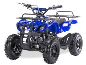 Квадроцикл MOTAX ATV Mini Grizlik X-16
