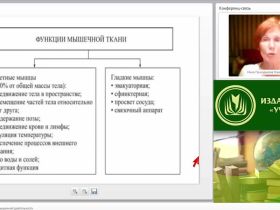 Международный вебинар "Физиология и гигиена мышечной деятельности"