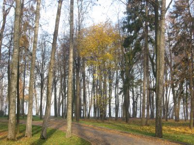 Усадебный парк