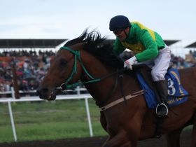 Стали известны победители конных скачек на призы главы Якутии