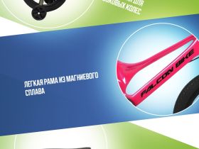 Детский велосипед Falcon Bike Mild 14, год 2024, цвет Розовый