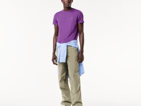 Мужская футболка Lacoste стандартного кроя