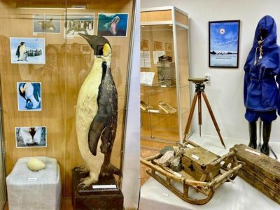 В Музее имени Ярославского в Якутске открылась выставка «С любовью к Арктике и Антарктиде»