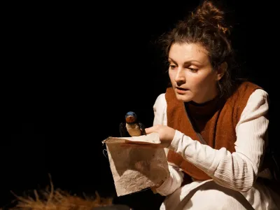 Билеты на Дневник ласточки (Большой театр кукол) / Театр | Афиша | ИнфоТаймс