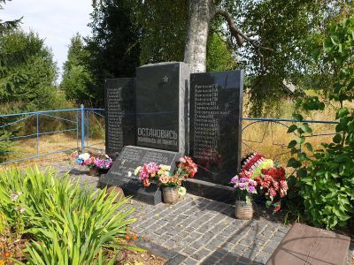 Братская могила воинов, погибших в годы Великой Отечественной войны 1941-1945 гг.