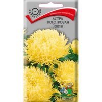 Астра коготковая Золотая