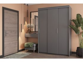 Шкаф-купе Тебар 3-150x220 Графитовый без зеркал